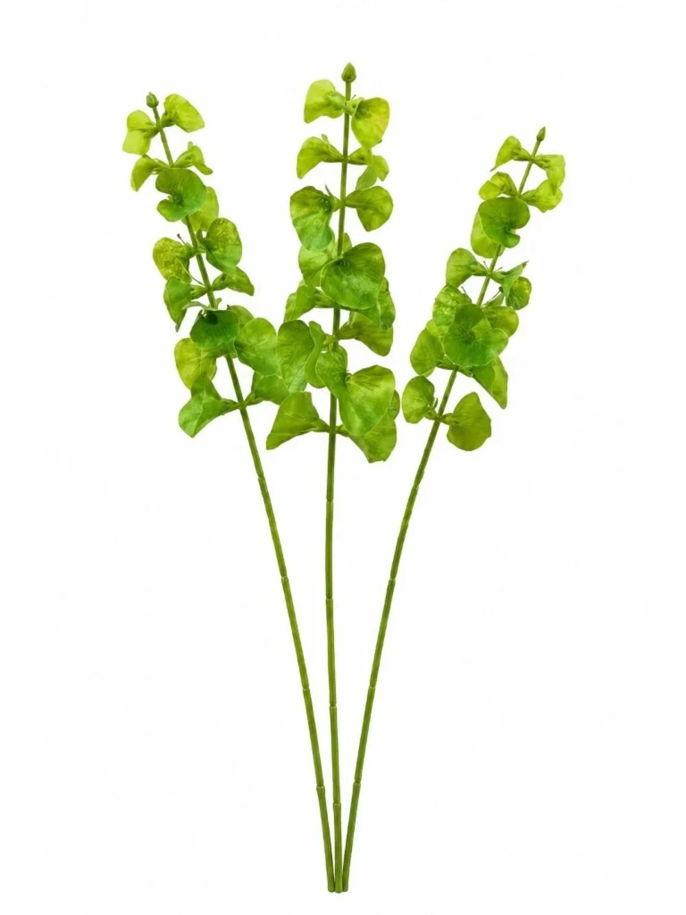 Green Artificial Bells of Ireland Stems Set of 3 26 Inch Real Touch Faux Flowers